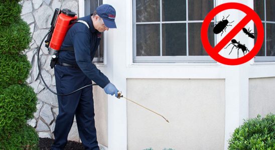 Bağcılar Fare İlaçlama böcek ilaçlama ve haşere kontrolü — ilaclama-tr.com